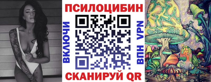 Купить закладки  Бронницы  Псилоцибиновые грибы мицелий 